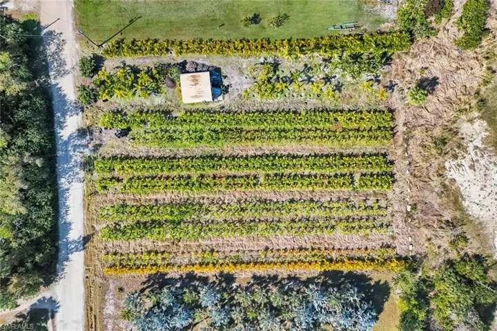 Overview of rural landscape featuring farmland