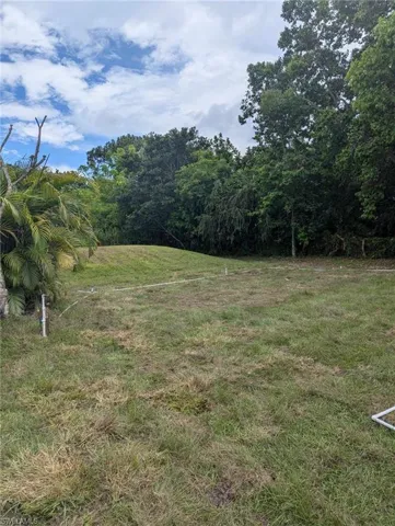 View of back yard and new septic