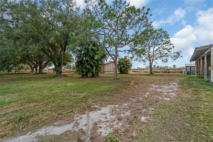 View of yard