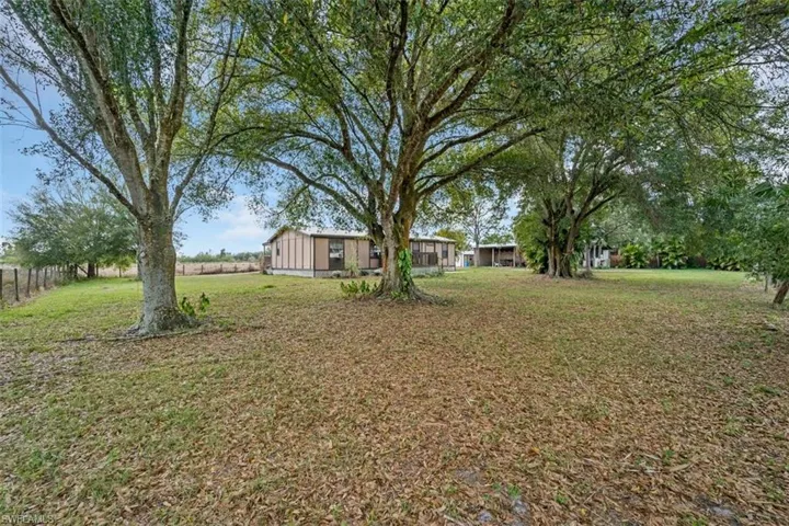 View of grassy yard