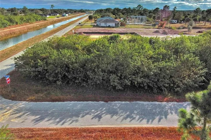 Aerial view of a tree filled landscape