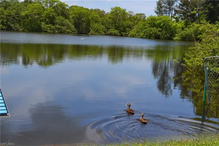 Freshwater lake