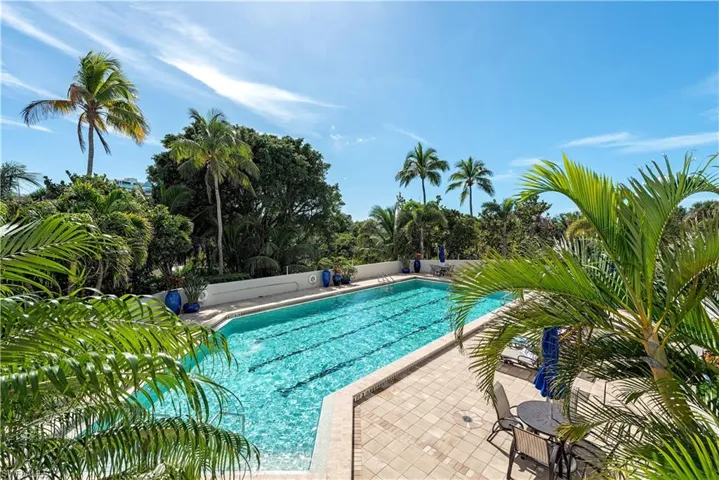 Very large lap pool with spa and elevated grilling area