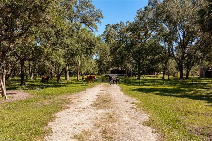 The gate leading into the home and barn.