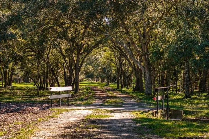 The picturesque driveway