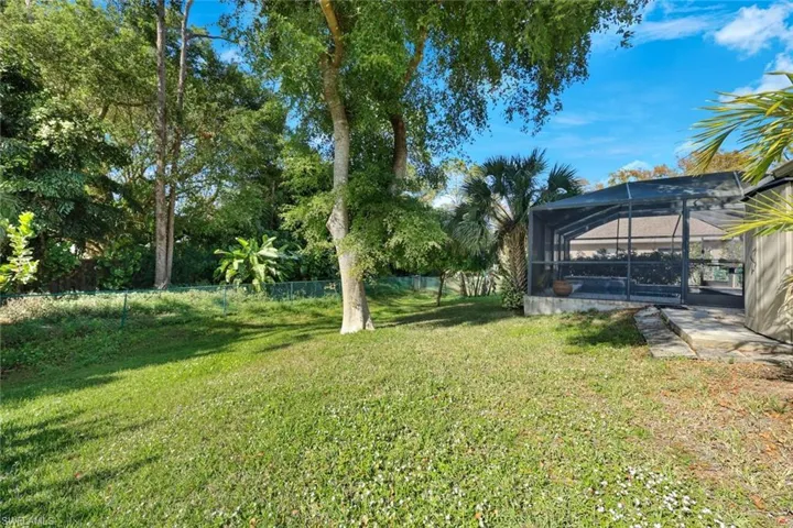Backyard