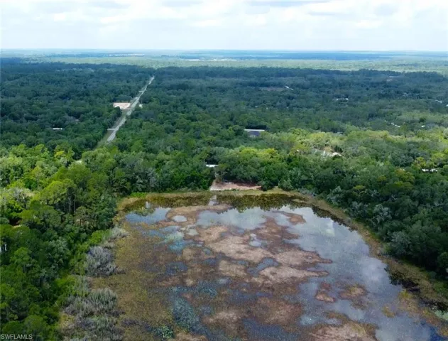 Expansive natural landscape featuring a serene body of water, dense surrounding foliage, and a distant paved road