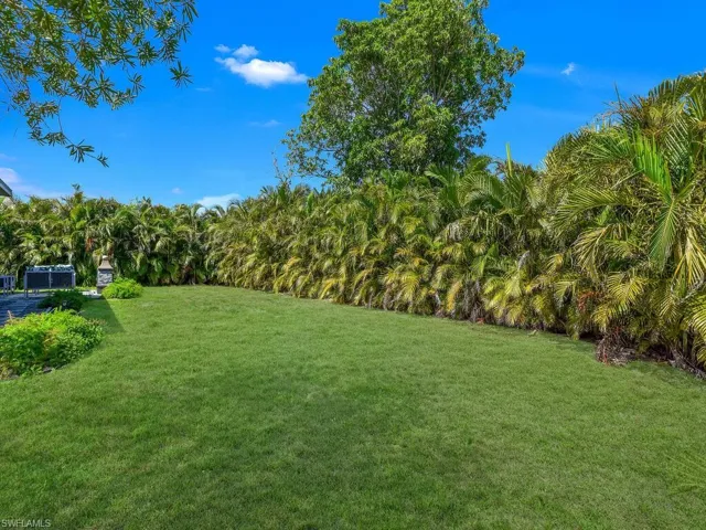 Mature Tropical Landscaping In Backyard