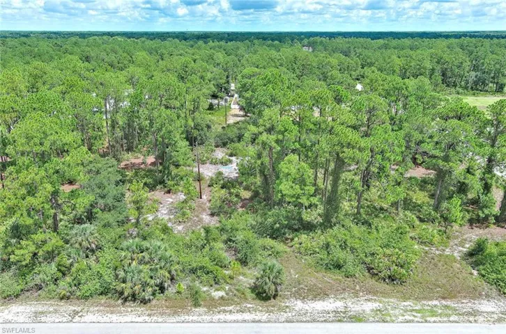 Aerial view of a heavily wooded area