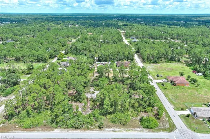 Bird's eye view of a forest