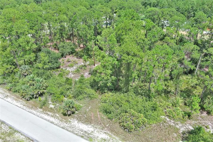 Aerial overview of property's location featuring a heavily wooded area