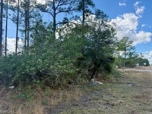 View of undeveloped land