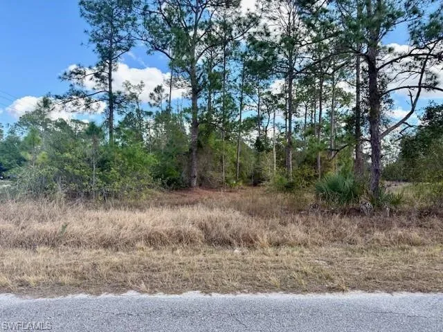 View of undeveloped land