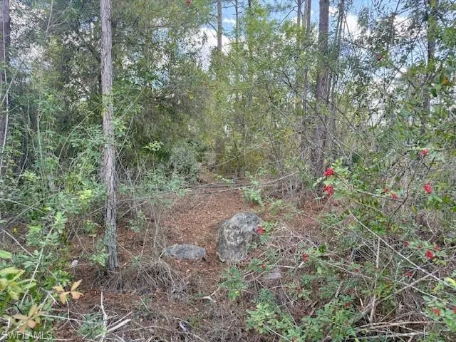 View of nature