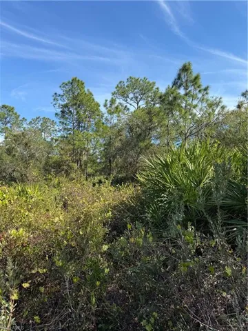 View of nature