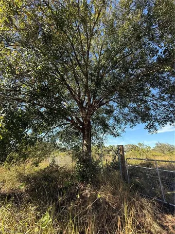 View of nature
