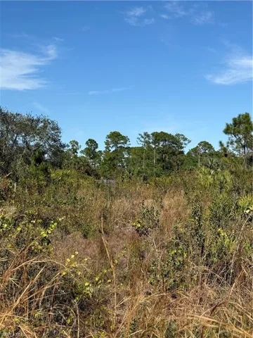 View of nature