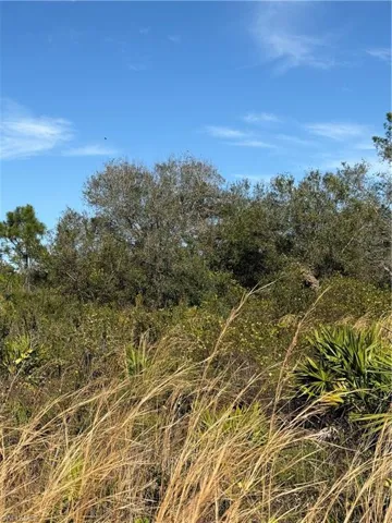 View of nature