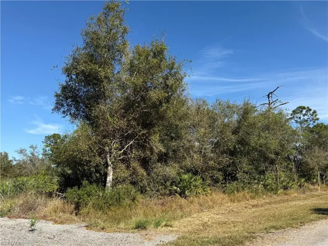 View of nature