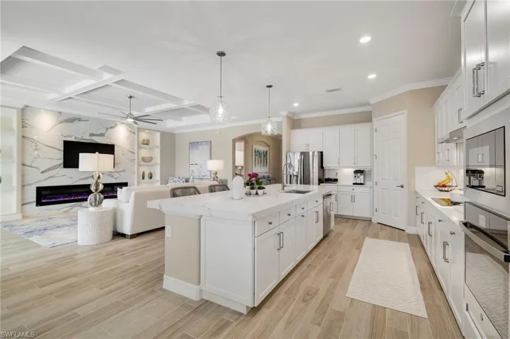 Luxurious Kitchen