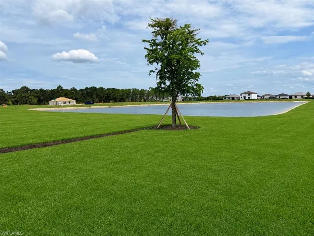 Lot view