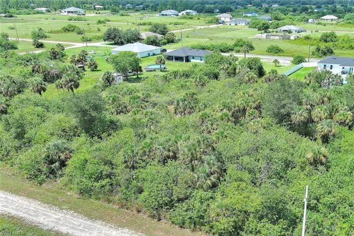 Drone / aerial view of a tree filled landscape