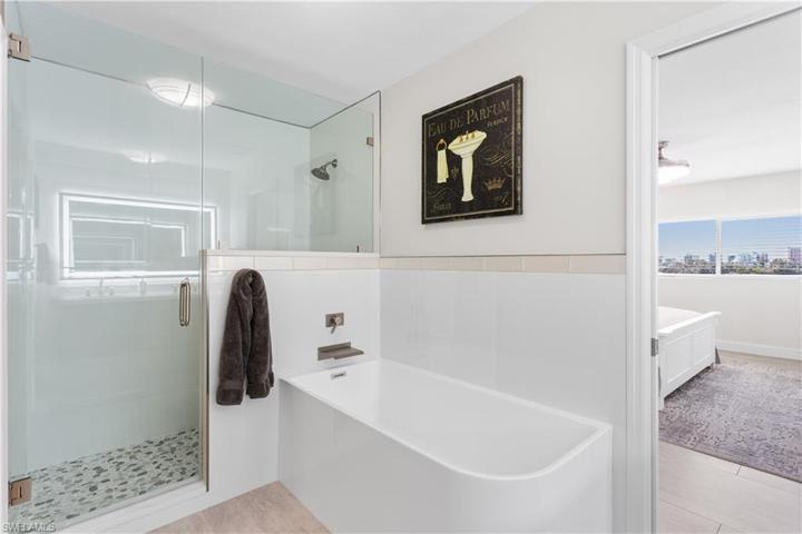 Master Tub and Shower