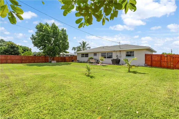 View of yard featuring a patio area and avocado tree