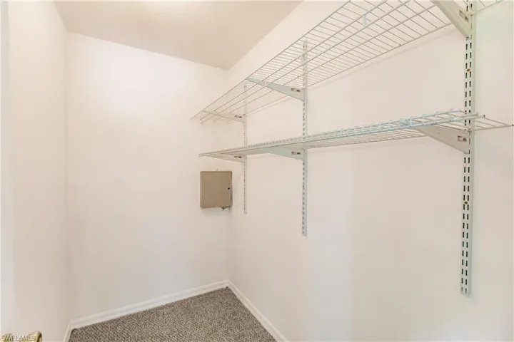 Spacious closet featuring carpet floors