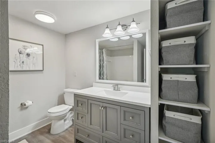 Bathroom with hardwood / wood-style flooring, toilet, and vanity