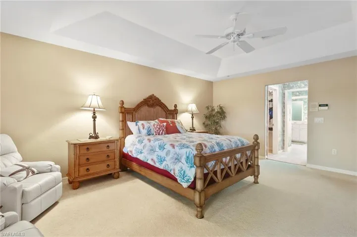 Bedroom featuring a raised ceiling, light colored carpet, a spacious closet, and a ceiling fan
