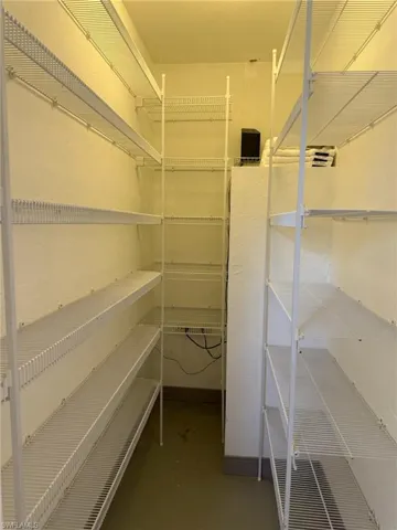 View of walk-in pantry