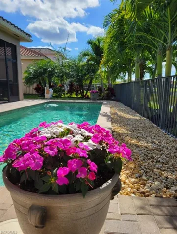 View of Custom saltwater solar heated extended pool lanaii fenced in yard, upgraded landscaping with palms and professional lighting.