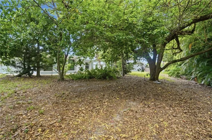 Expansive backyard featuring mature trees, natural foliage, and a partial view of the property's exterior