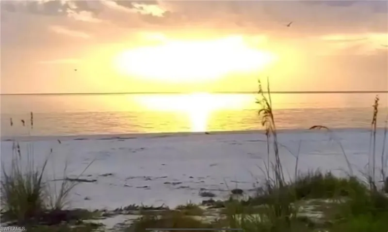 Enjoy Amazing Sunsets