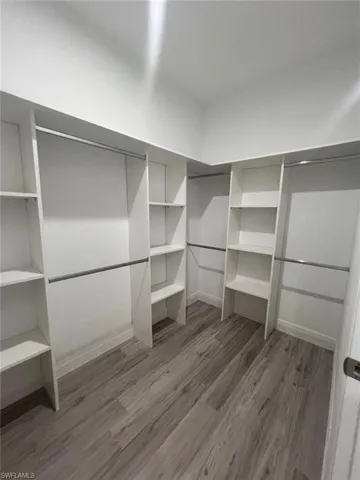 Spacious closet featuring wood-type flooring