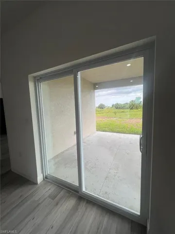 Entryway featuring a wealth of natural light and wood-type flooring