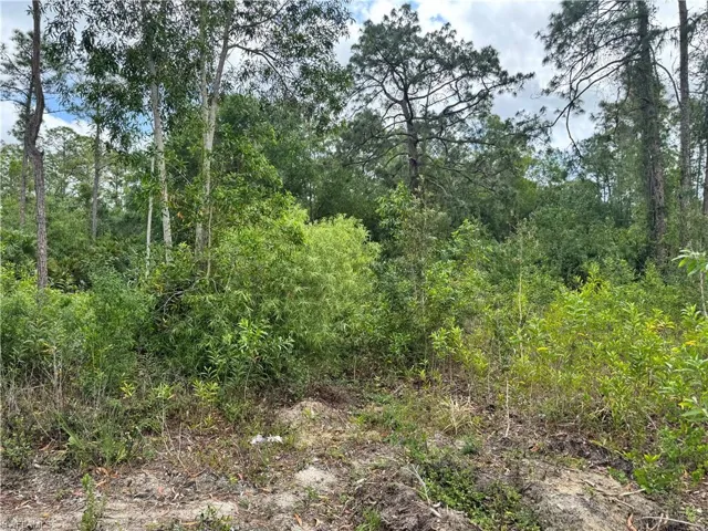 6741  Westwood Acres  RD, Fort Myers, FL 33905