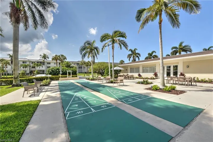Shuffle Ball Court