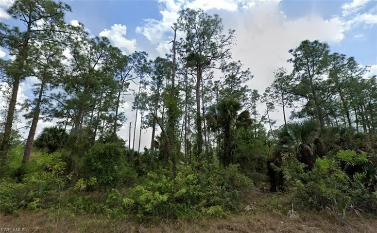 View of local wilderness