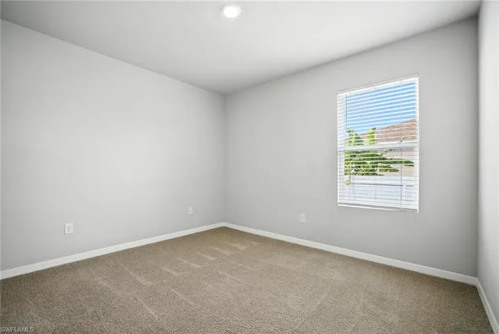 Neutral-toned room featuring light gray walls and plush carpeting