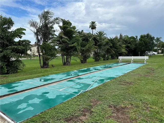 Shuffleboard