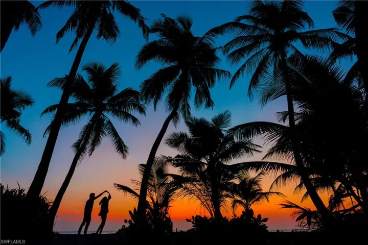 View of nature at dusk