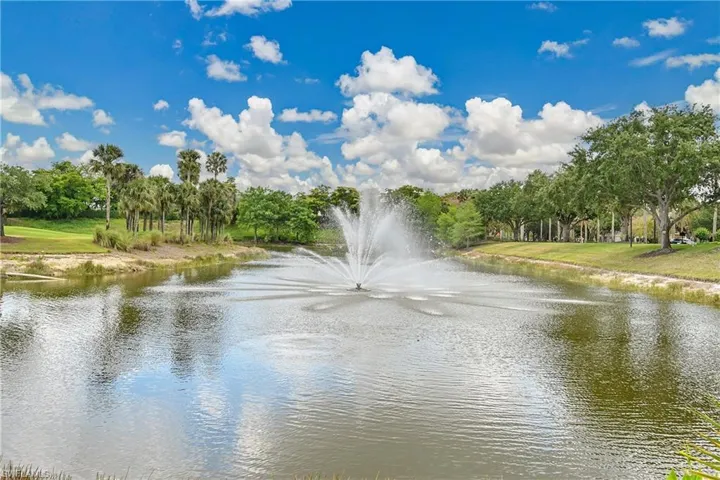 Back Yard Fountain feature