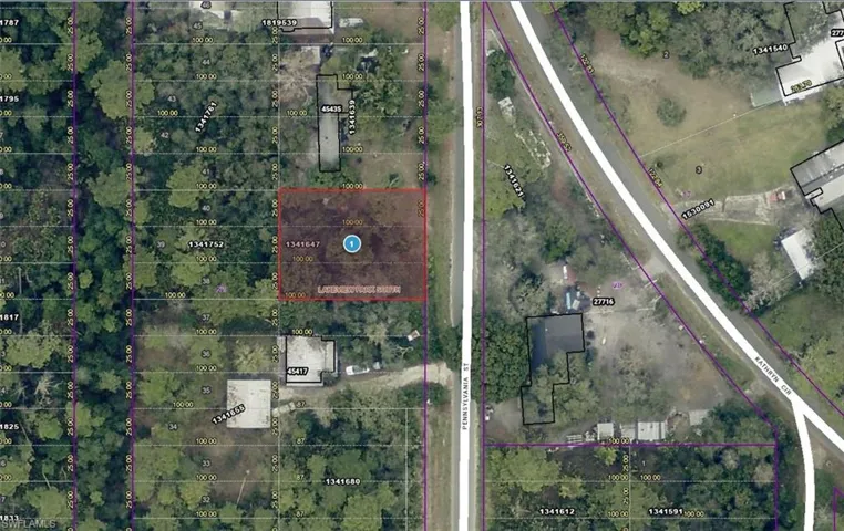 15-17-28-0100-021-00900  Pennsylvania  ST, Paisley, FL 32767