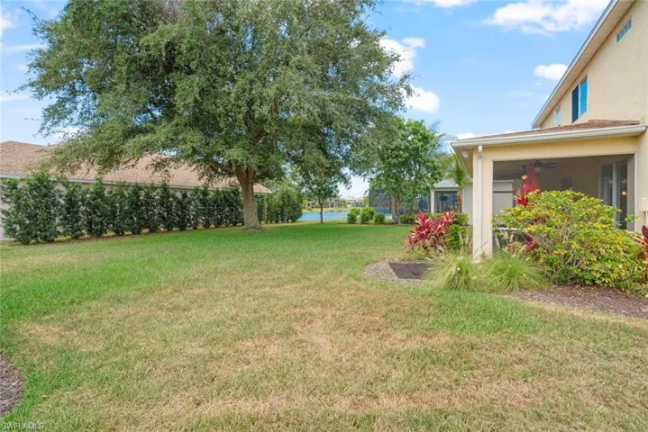 View of the backyard