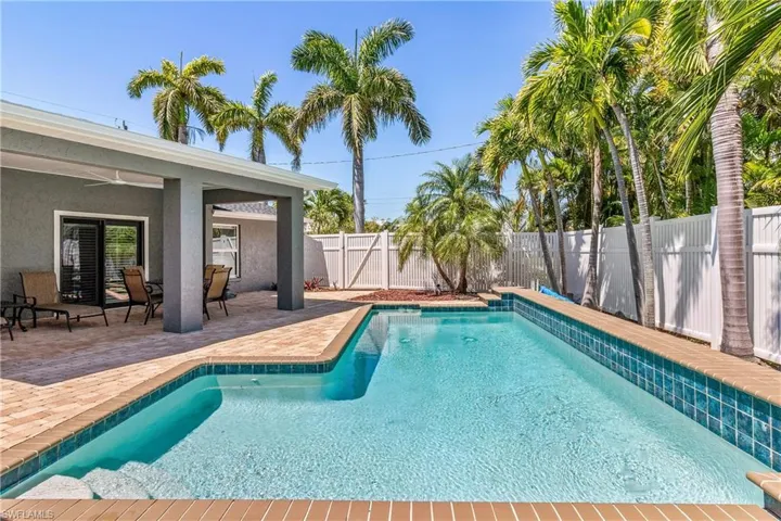 Tropical Palms Accent Courtyard.