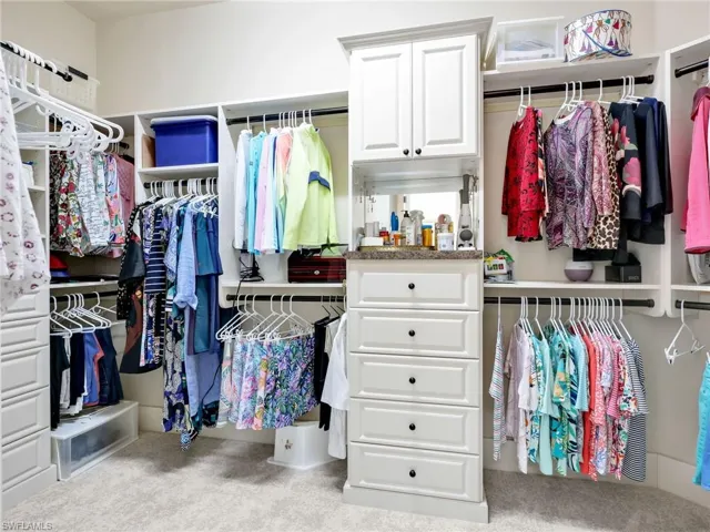 Walk in closet with light carpet
