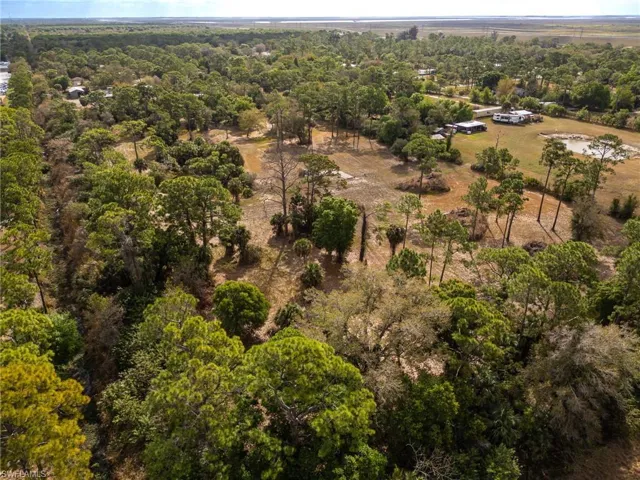Bird's eye view of a heavily wooded area