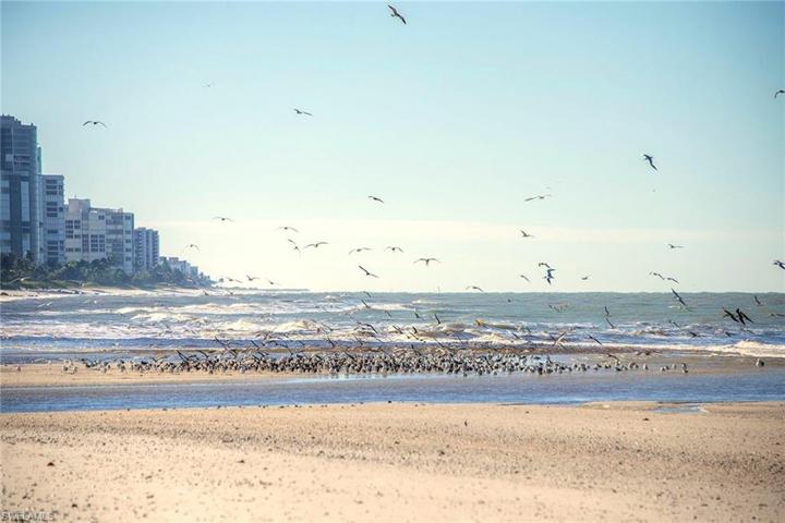 7000 Pelican Bay BLVD # 101, NAPLES FL 34108